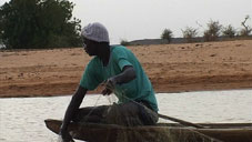 der nigerfluss stirbt